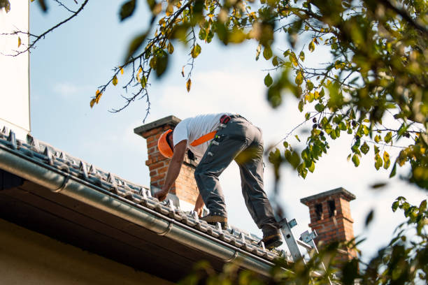 Best Roof Gutter Cleaning  in Archer, FL