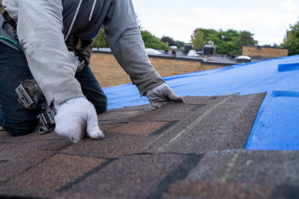 Best Roof Gutter Cleaning  in Archer, FL