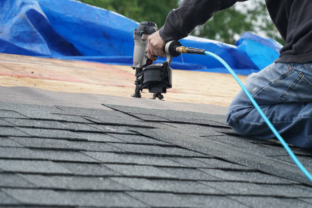 Best Storm Damage Roof Repair  in Archer, FL